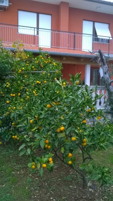 Apartment Anny Пула Екстериор снимка